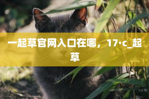 一起草官网入口在哪，17·c_起草