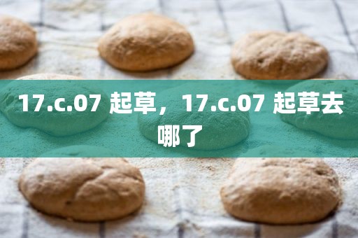 17.c.07 起草，17.c.07 起草去哪了
