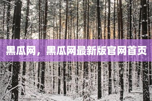 黑瓜网，黑瓜网最新版官网首页