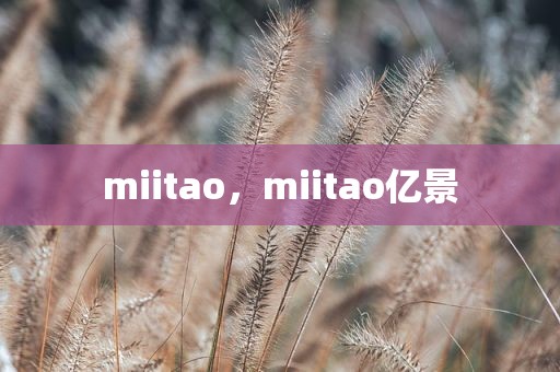 miitao，miitao亿景