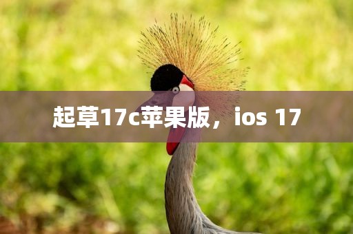 起草17c苹果版，ios 17