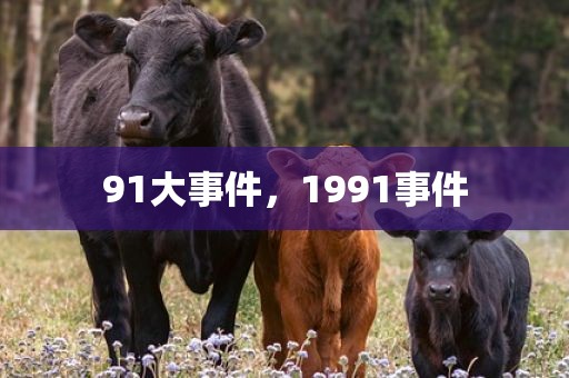 91大事件，1991事件