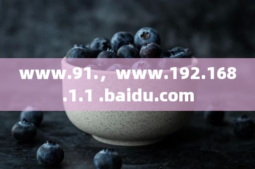 www.91.，www.192.168.1.1 .baidu.com