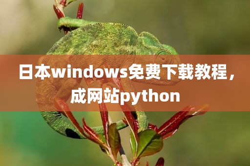 日本windows免费下载教程，成网站python