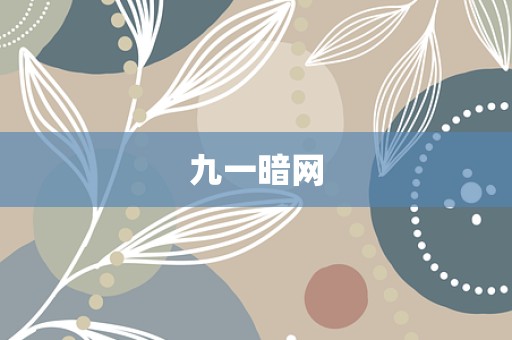 九一暗网