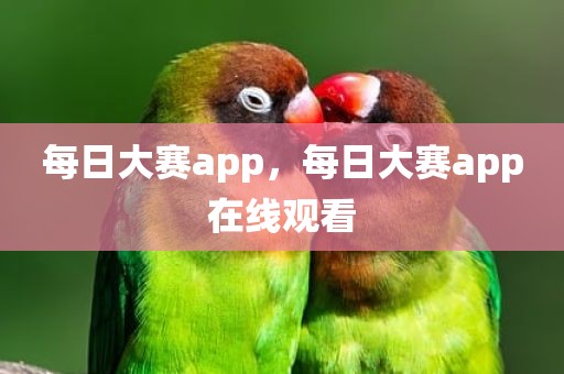 每日大赛app，每日大赛app在线观看