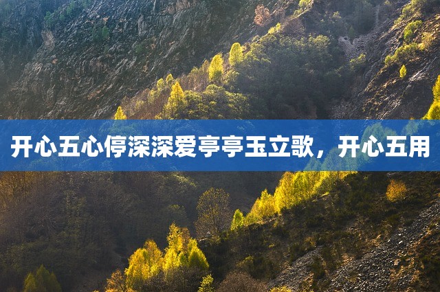 开心五心停深深爱亭亭玉立歌，开心五用