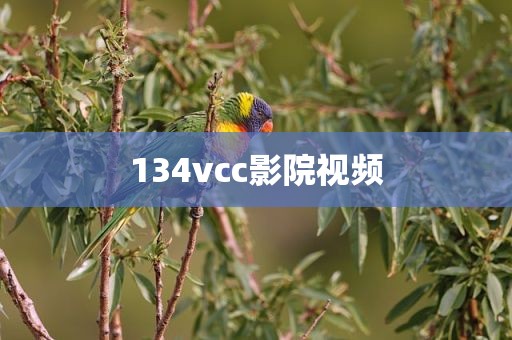 134vcc影院视频