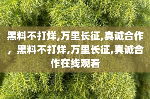 黑料不打烊,万里长征,真诚合作，黑料不打烊,万里长征,真诚合作在线观看