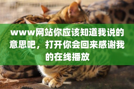 www网站你应该知道我说的意思吧，打开你会回来感谢我的在线播放