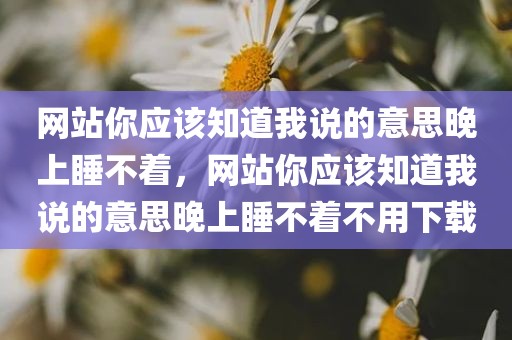 网站你应该知道我说的意思晚上睡不着，网站你应该知道我说的意思晚上睡不着不用下载
