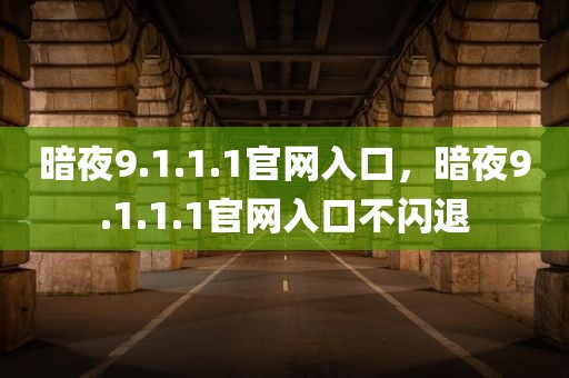 暗夜9.1.1.1官网入口，暗夜9.1.1.1官网入口不闪退