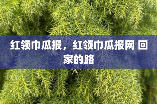 红领巾瓜报，红领巾瓜报网 回家的路