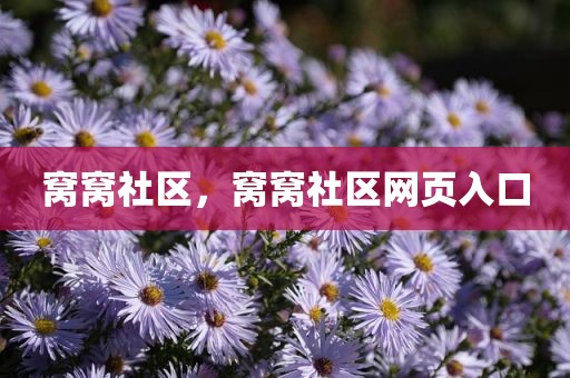 窝窝社区，窝窝社区网页入口