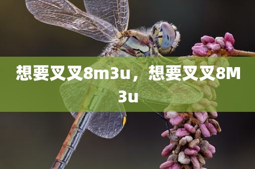 想要叉叉8m3u，想要叉叉8M3u