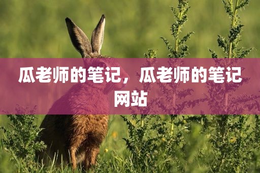 瓜老师的笔记，瓜老师的笔记网站