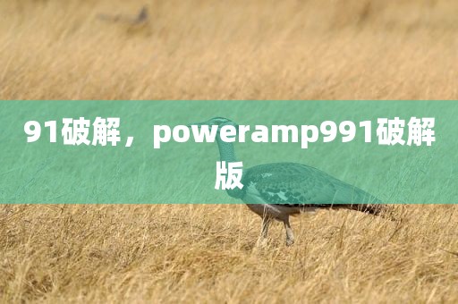 91破解，poweramp991破解版