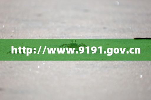 http://www.9191.gov.cn