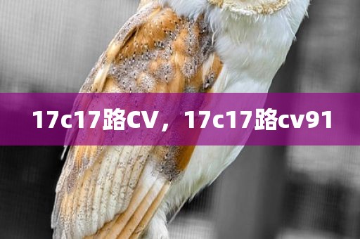 17c17路CV，17c17路cv91