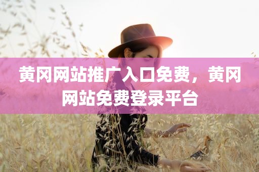 黄冈网站推广入口免费，黄冈网站免费登录平台
