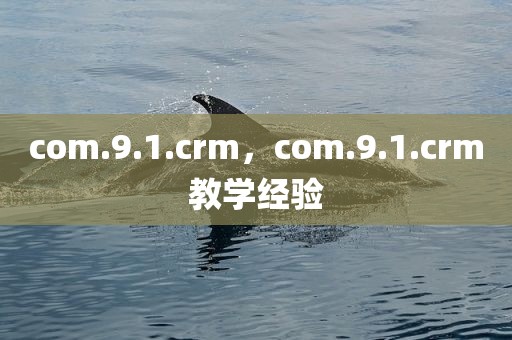 com.9.1.crm，com.9.1.crm教学经验