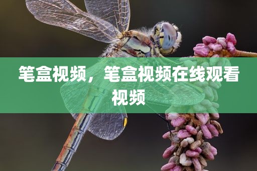 笔盒视频，笔盒视频在线观看视频