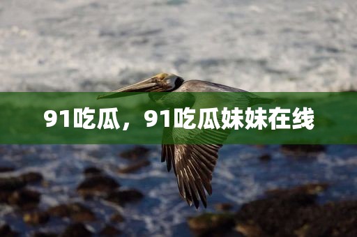 91吃瓜，91吃瓜妹妹在线