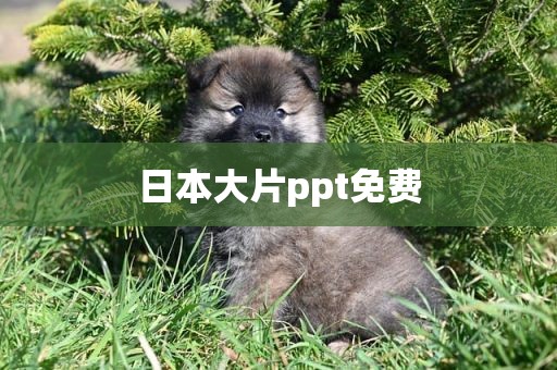日本大片ppt免费