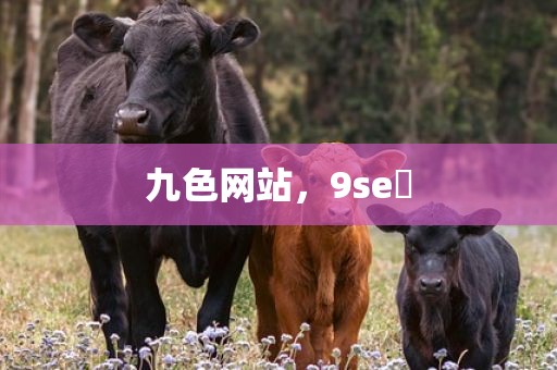 九色网站，9se 