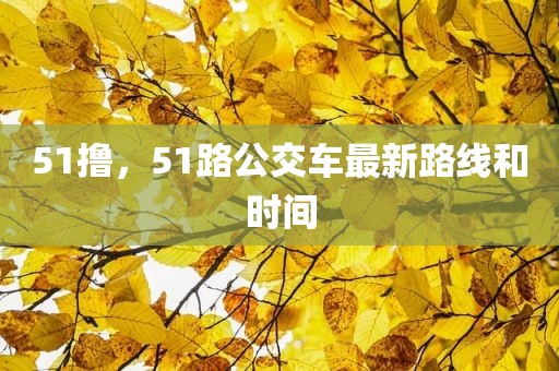 51撸，51路公交车最新路线和时间