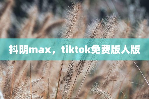 抖阴max，tiktok免费版人版