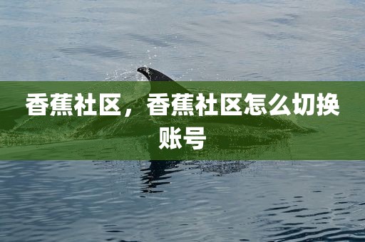 香蕉社区，香蕉社区怎么切换账号