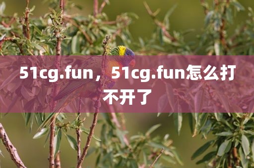 51cg.fun，51cg.fun怎么打不开了