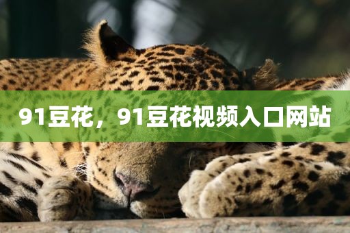 91豆花，91豆花视频入口网站
