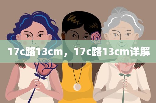 17c路13cm，17c路13cm详解
