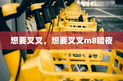 想要叉叉，想要叉叉m8暗夜