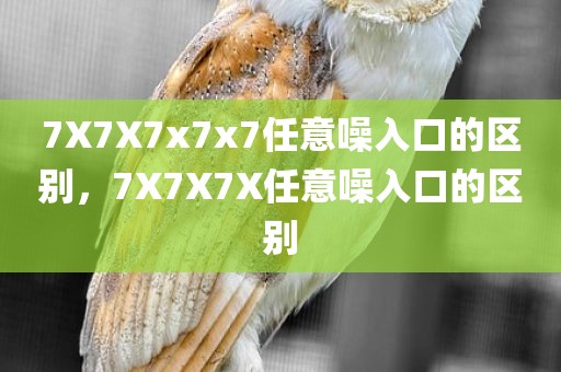 7X7X7x7x7任意噪入口的区别，7X7X7X任意噪入口的区别