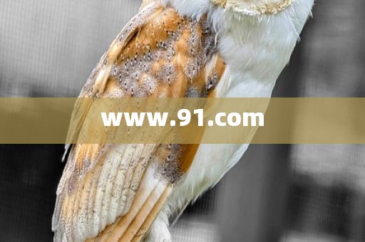 www.91.com