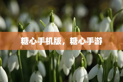 糖心手机版，糖心手游