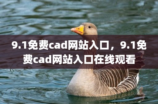 9.1免费cad网站入口，9.1免费cad网站入口在线观看