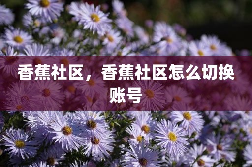 香蕉社区，香蕉社区怎么切换账号