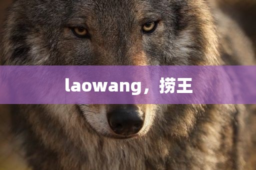 laowang，捞王
