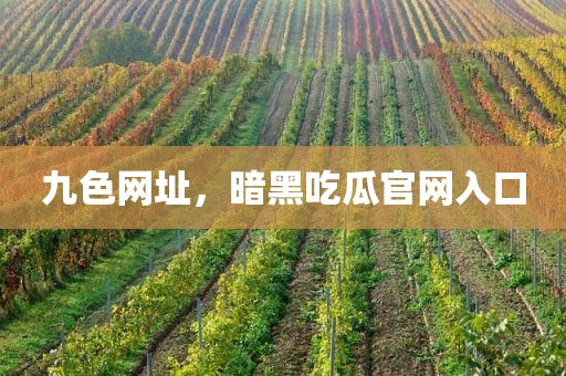 九色网址，暗黑吃瓜官网入口