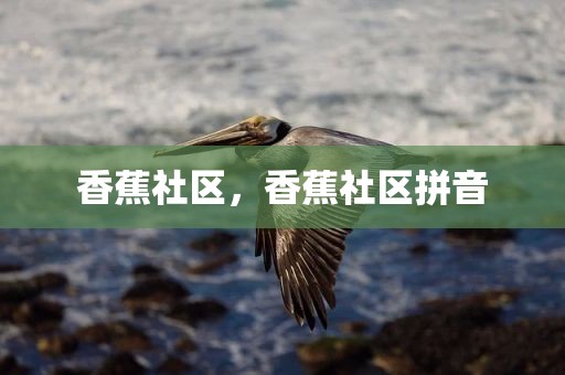 香蕉社区，香蕉社区拼音