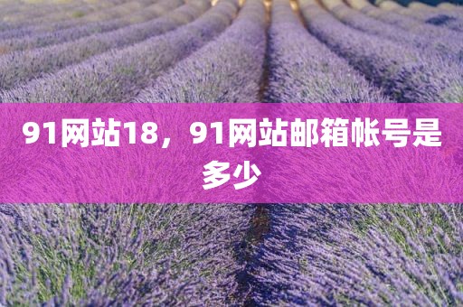 91网站18，91网站邮箱帐号是多少