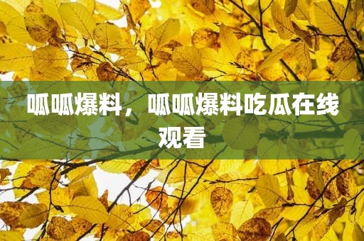 呱呱爆料，呱呱爆料吃瓜在线观看