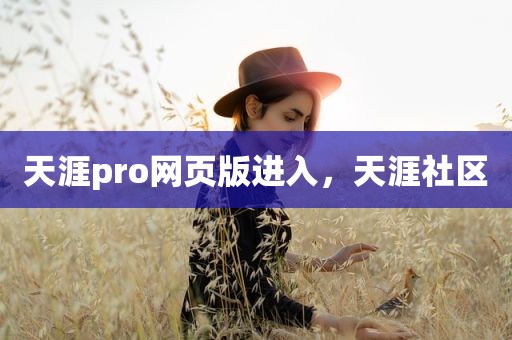 天涯pro网页版进入，天涯社区