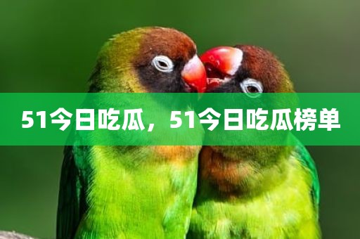 51今日吃瓜，51今日吃瓜榜单