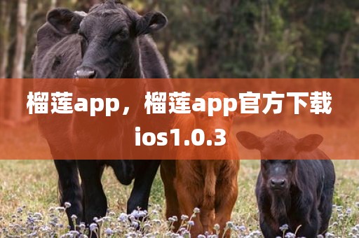 榴莲app，榴莲app官方下载ios1.0.3