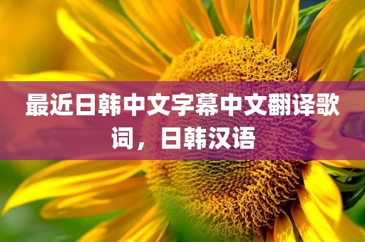 最近日韩中文字幕中文翻译歌词，日韩汉语